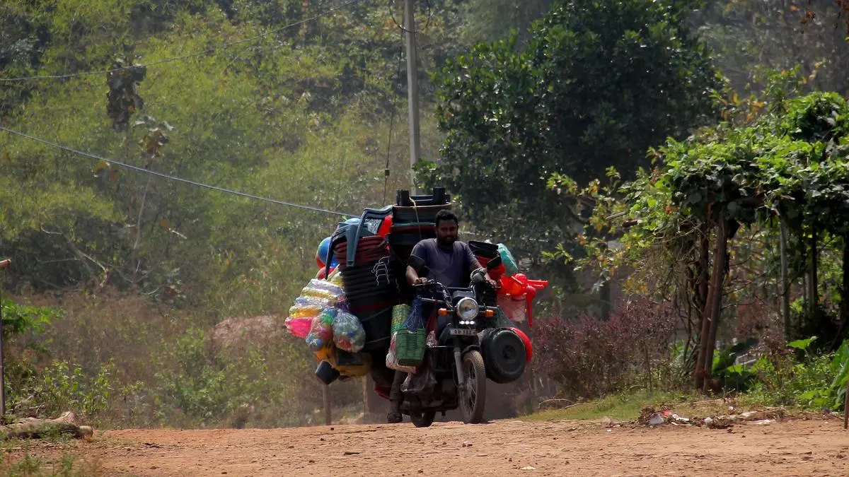 Odisha panel to probe Satkosia tiger reserve village relocations