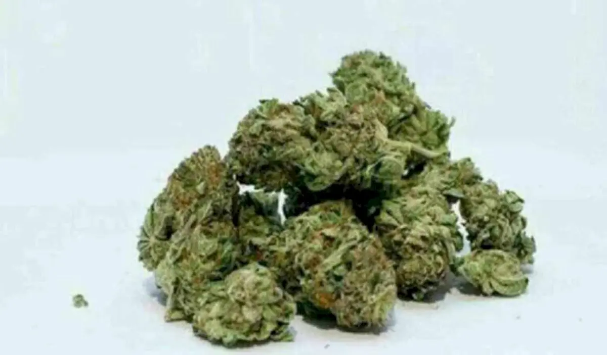 Telangana Ganja Sellers Shift Locations to Evade Police
