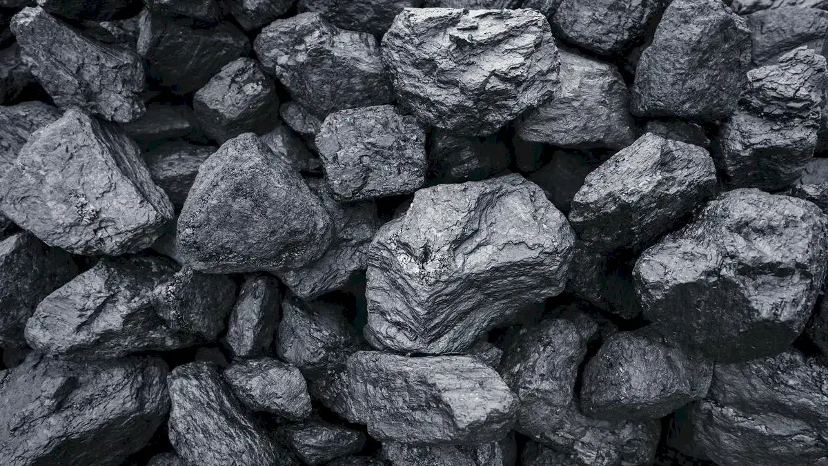 India’s coal imports shift towards steel as coking demand rises