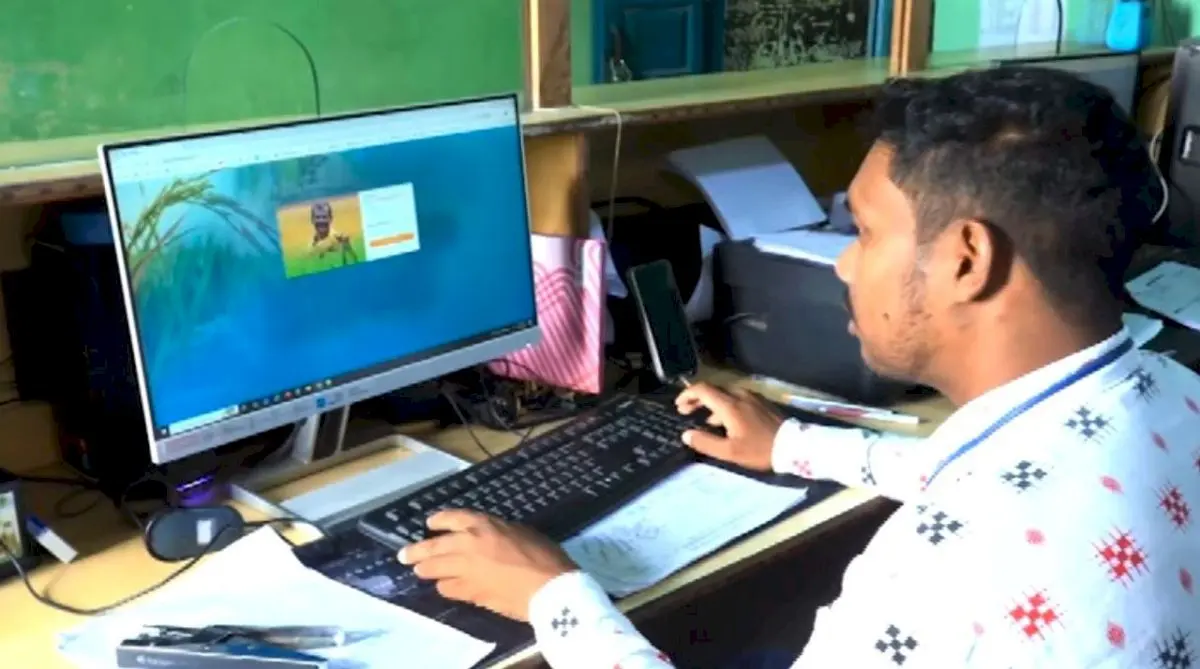 Odisha to Continue P-Pass Registration for Paddy Procurement