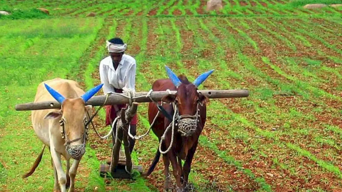 Telangana SC farmers mostly landless, crop insurance negligible: Study