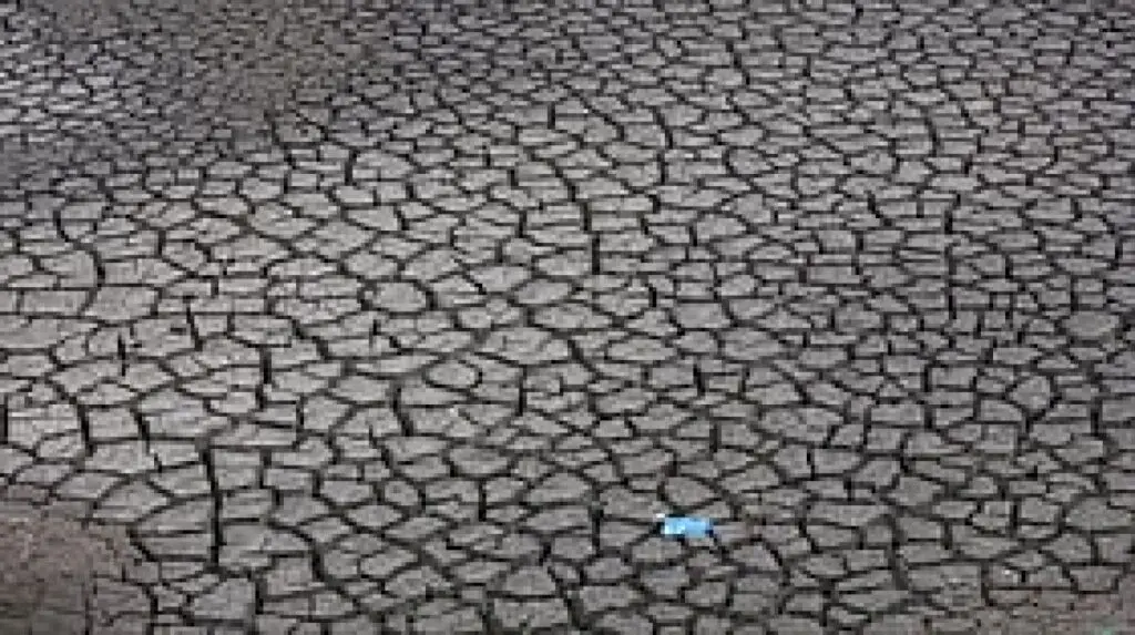 Haveri reels under drought as monsoon deficit hits 42.37%