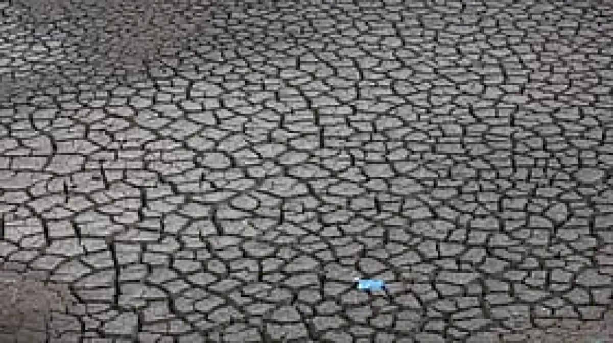 Haveri reels under drought as monsoon deficit hits 42.37%