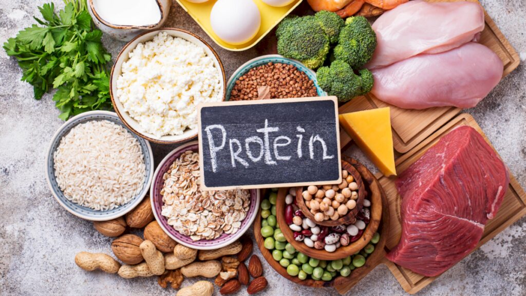 Sedentary Adults Usually Need 0.8 Grams of Protein Per Kilogram