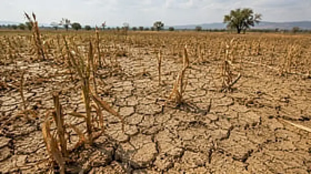 Gadag seeks Rs 500 crore drought relief after Rs 219 crore crop loss