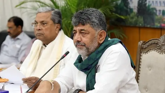 Karnataka bandh loses steam as major groups stay away