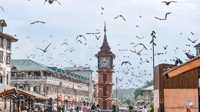 Parliament panel calls for integrated security at all major J&K tourist sites