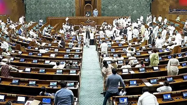 Parliamentary panel renews push for ‘nano’ business category