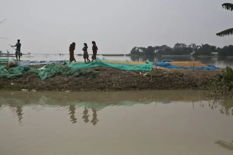 Assam floods shift: experts urge district-level plans over embankments