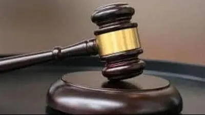Himachal HC halts 144-metre road in Mashobra forest area