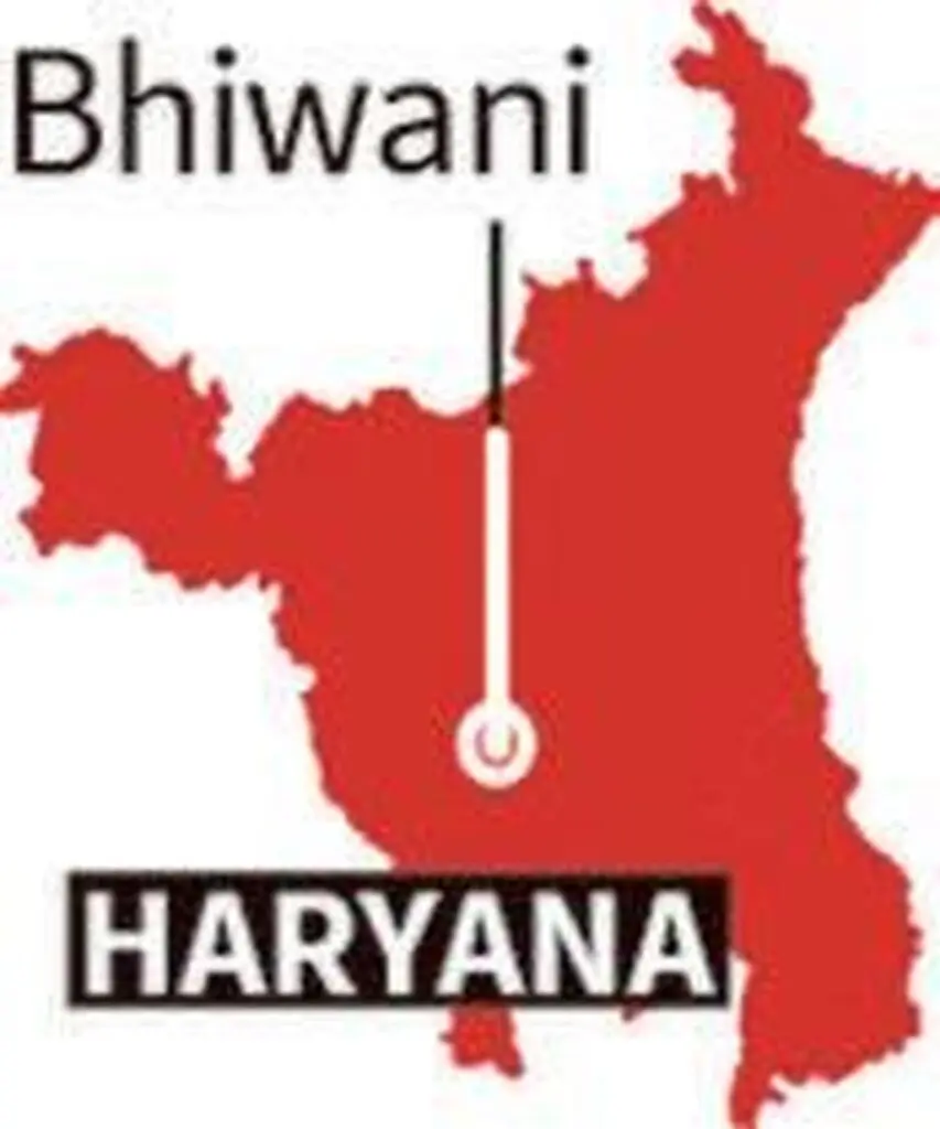 Four Haryana women boxers win gold at Commonwealth Games