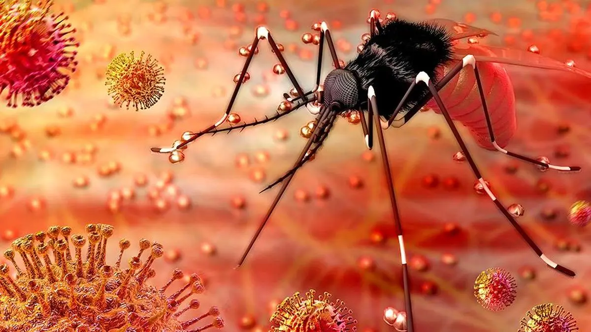 Ronald Ross discovery 1897 linked mosquitoes to malaria