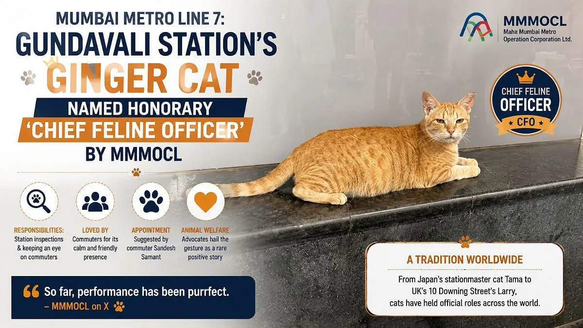 Mumbai Metro appoints ginger cat as Chief Feline Officer