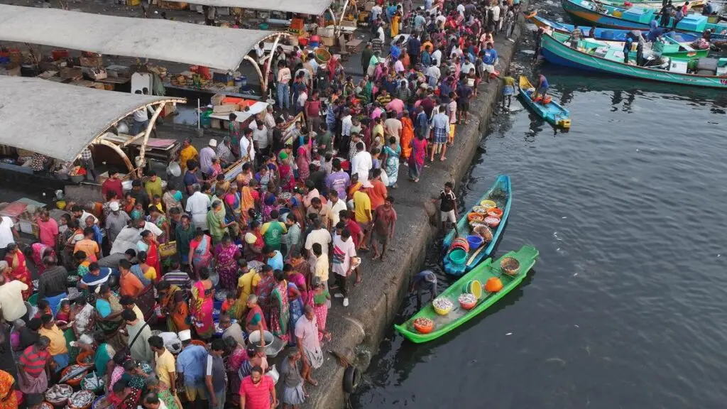 Sewage, encroachments kill Chennai's inland fishing in 40 years