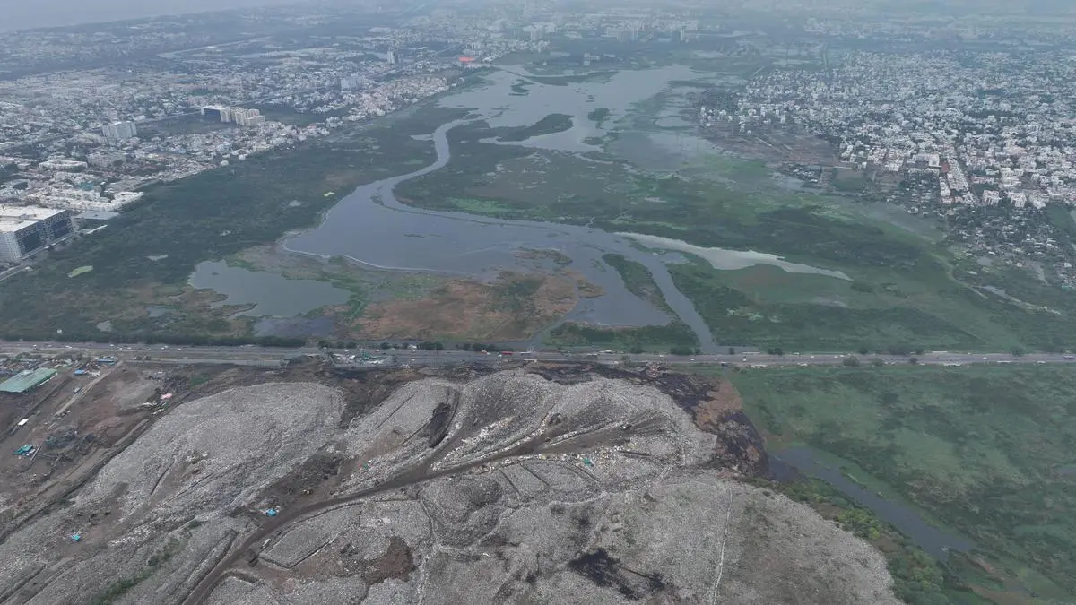 TNSWA tells Madras High Court construction near Pallikaranai marsh can be regulated