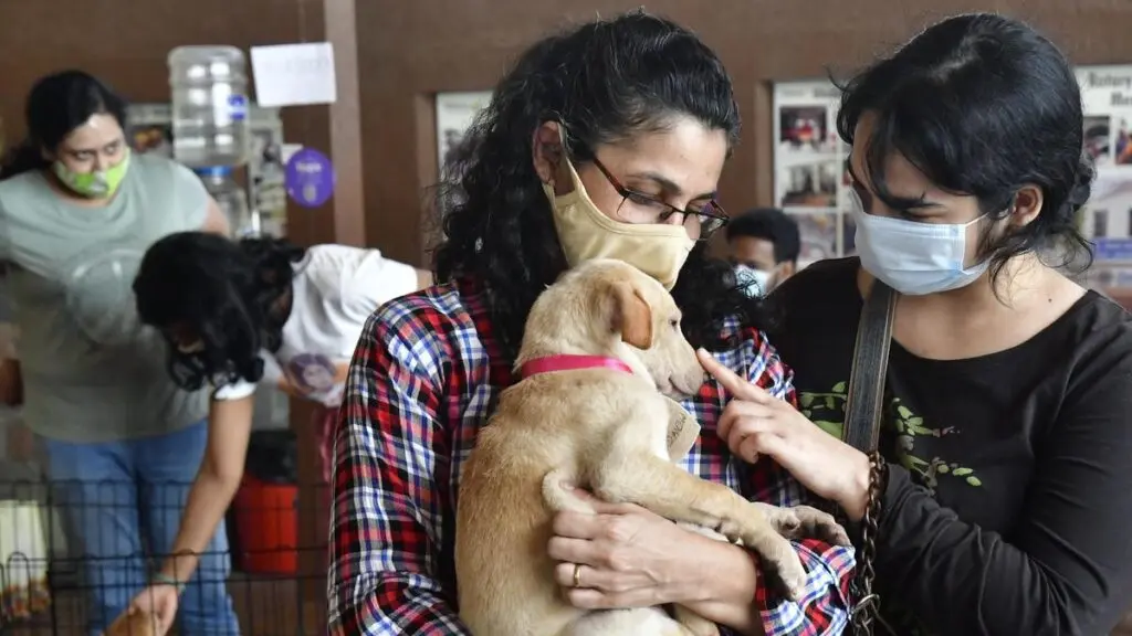 Pet insurance emerges as cushion as vet bills cross lakhs