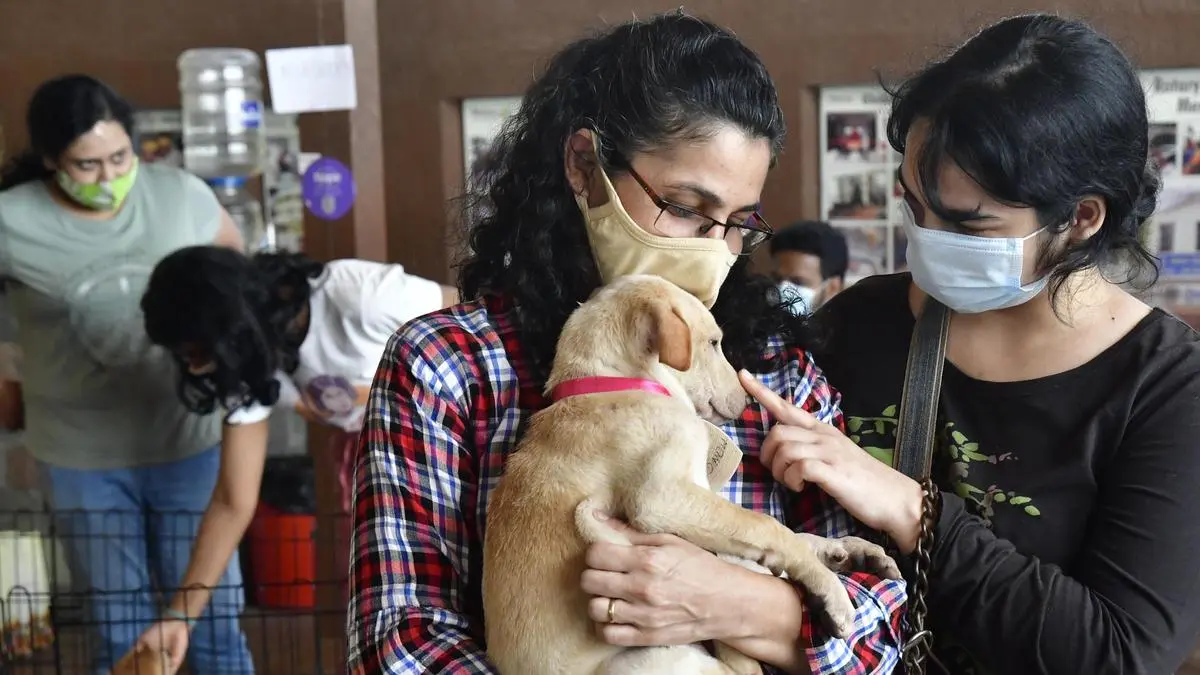Pet insurance emerges as cushion as vet bills cross lakhs