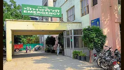Ludhiana snakebite cases jump 34% in two years, monsoon blamed