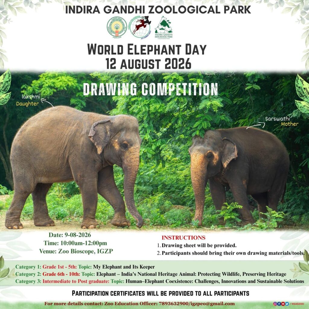 Visakhapatnam zoo to hold elephant-themed drawing contest on August 9