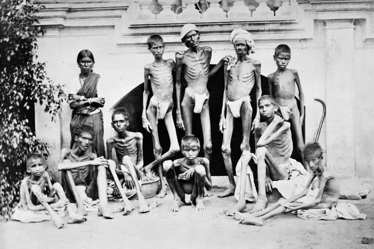 1830s volcano eruptions linked to Agra, Madras famines