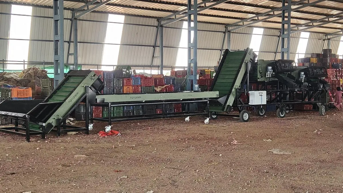 Agrograde installs automated onion grading system at Nashik market