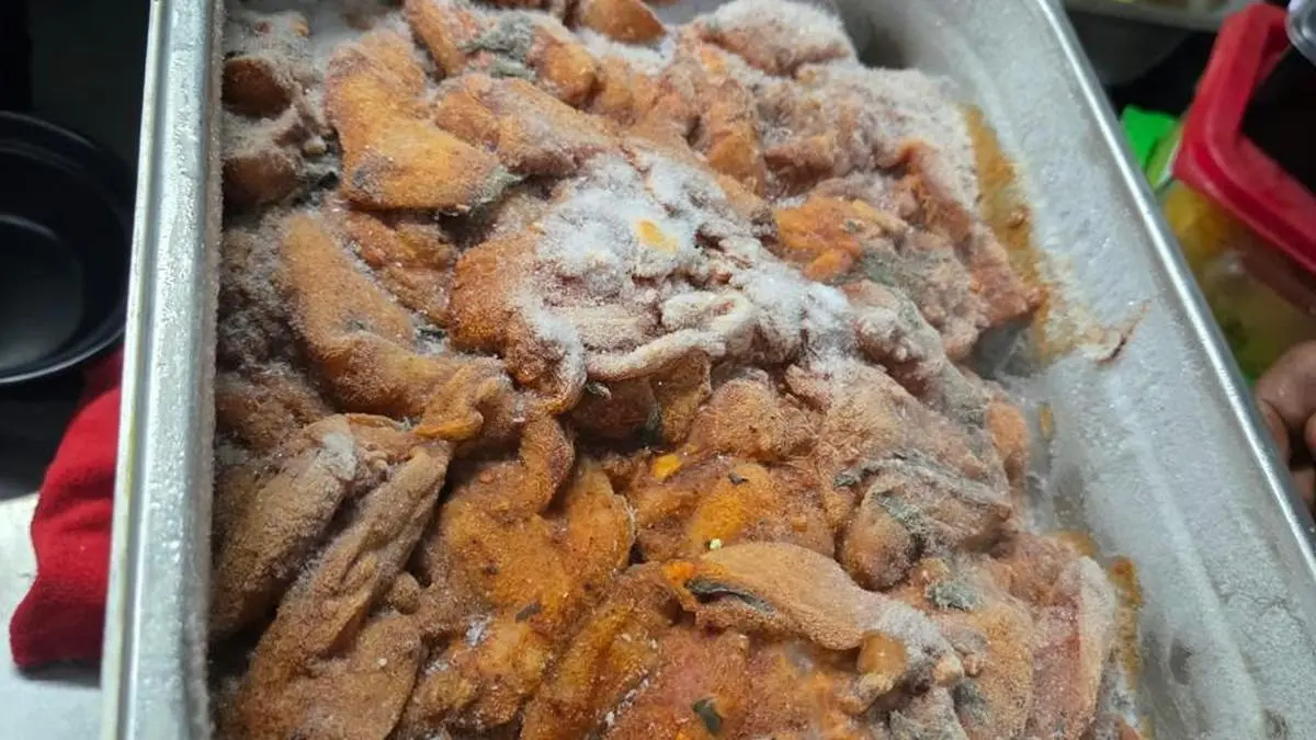 Karnataka gives food businesses 15 days to fix hygiene violations