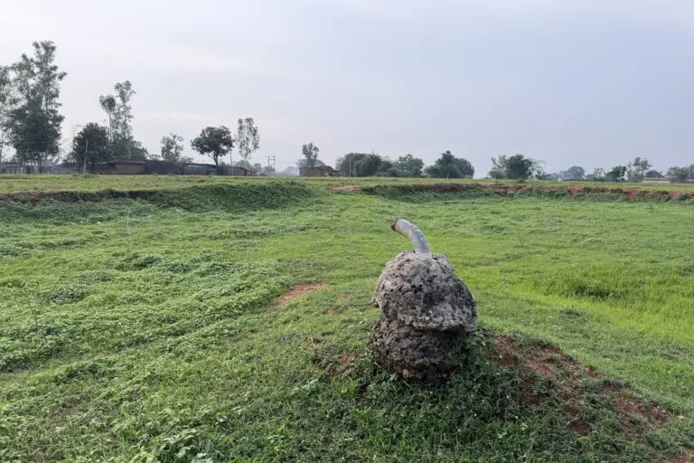 Jharkhand drought-proofing infrastructure lies abandoned, farms suffer