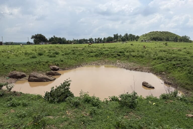 Broken irrigation leaves Palamu farms exposed to another drought