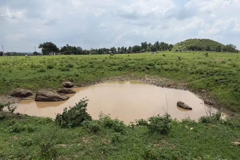 Jharkhand drought-proofing infrastructure lies abandoned, farms suffer