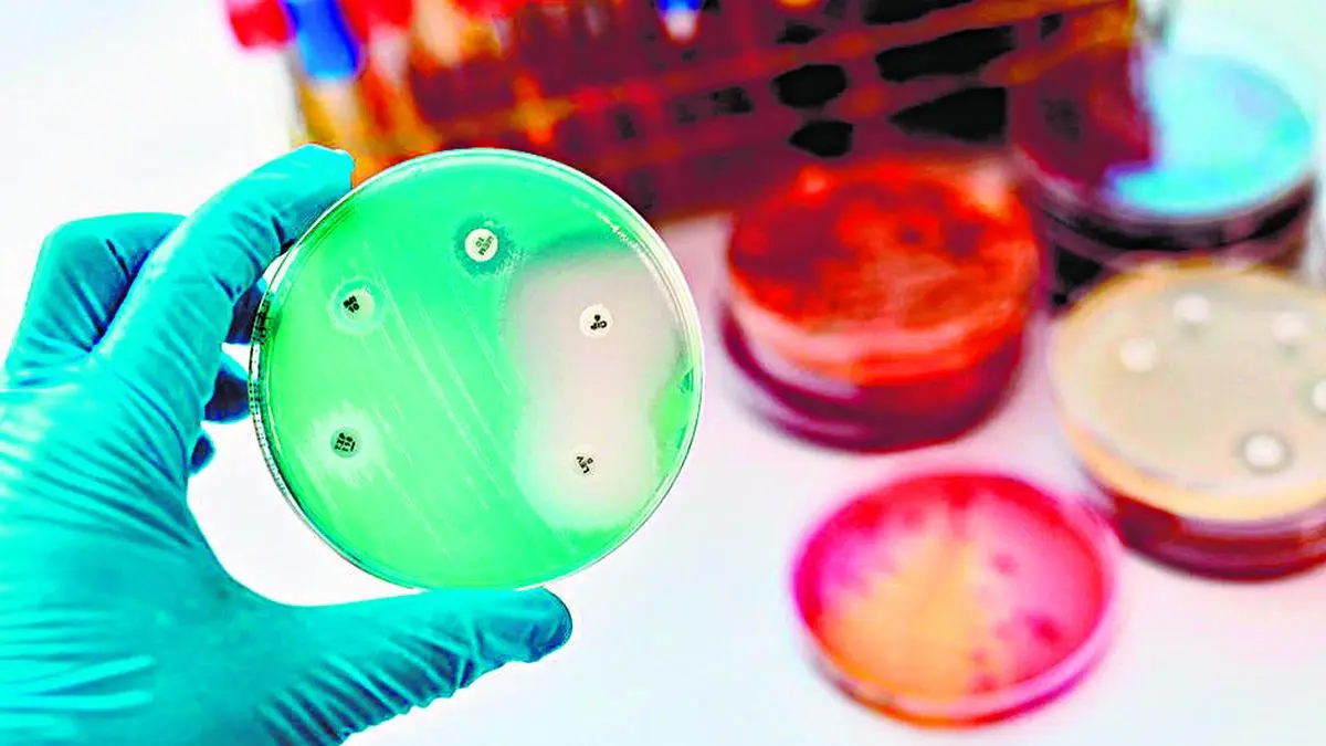 Shigellosis antibiotics show 96% resistance in Kerala, doctors warn of AMR crisis