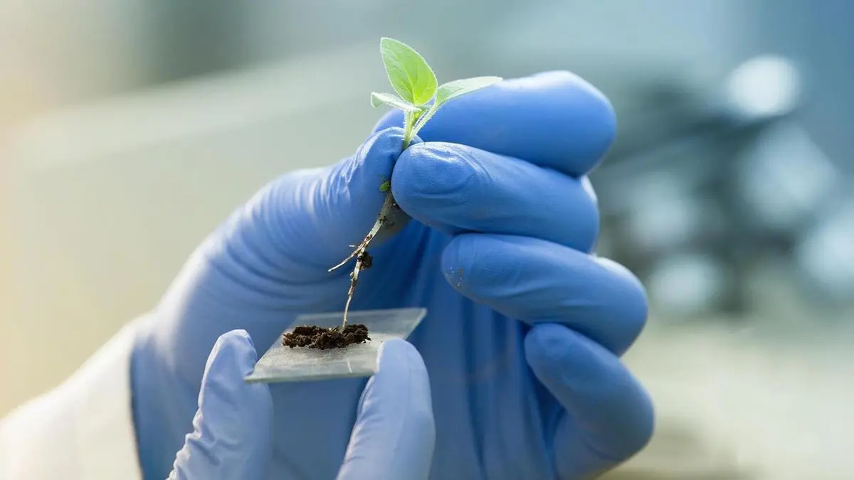 HELM, Parijat Industries partner across agrochemical value chain