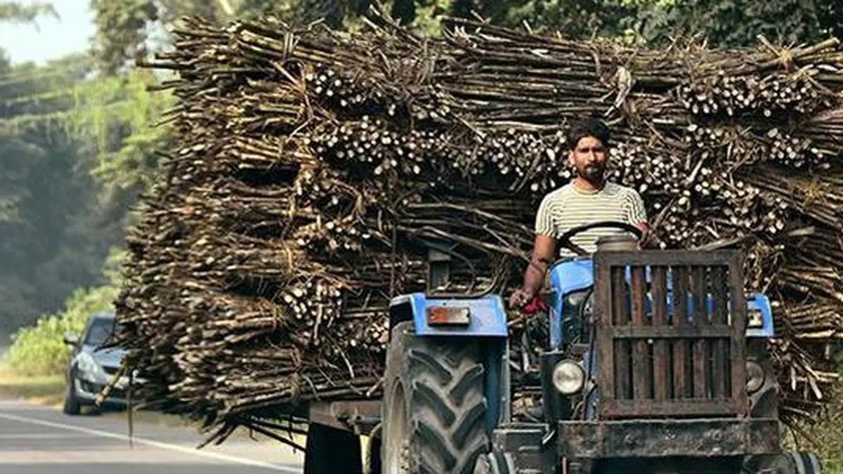 Uttar Pradesh clears 94% of sugarcane dues this season