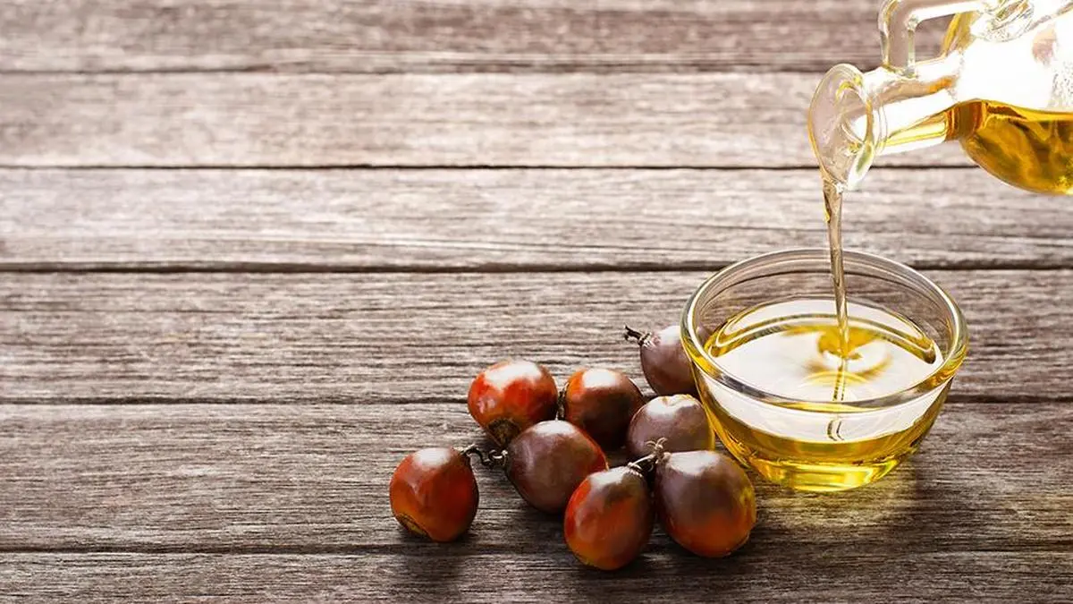 Palm oil conference finds no consistent heart risk from consumption