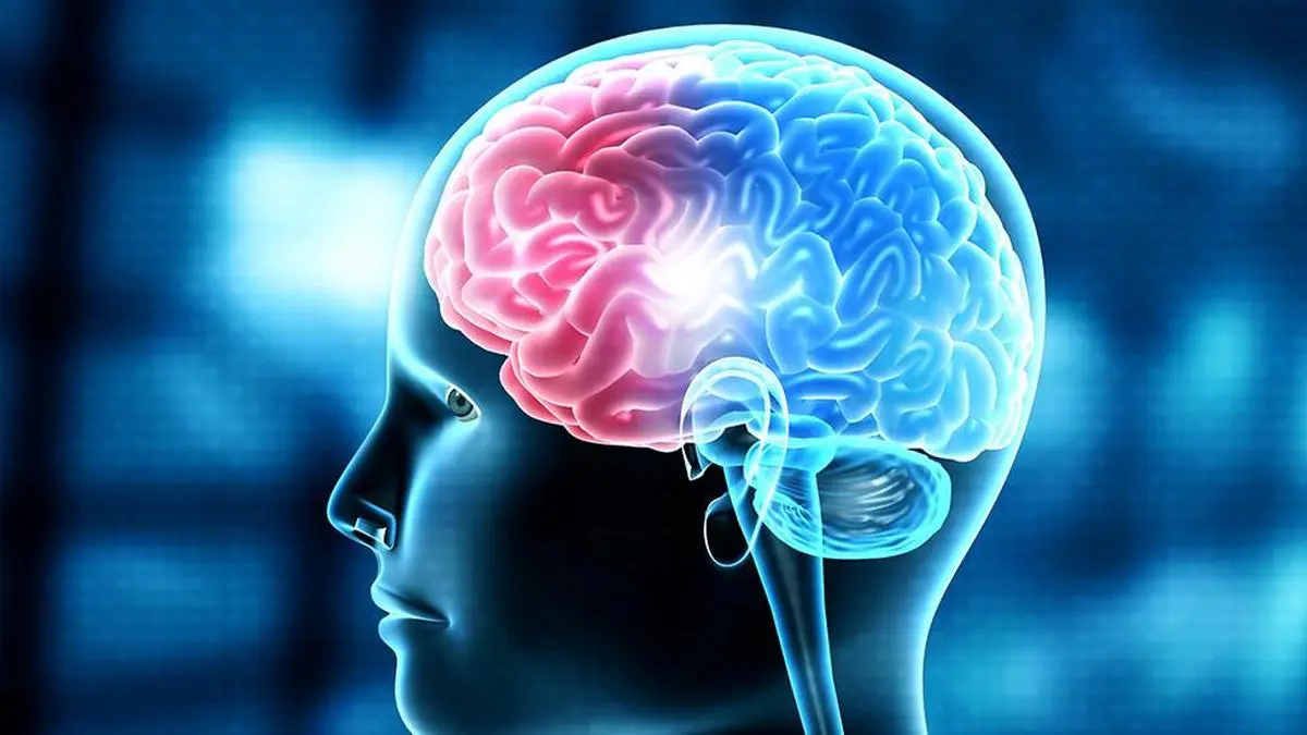 NIMHANS study links peripheral inflammation to PSP brain damage