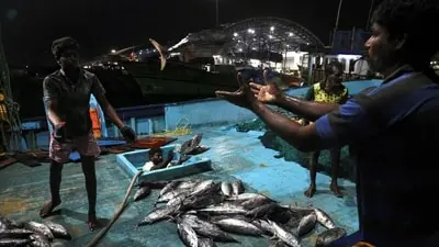 Surat fish market named after Modi without civic nod
