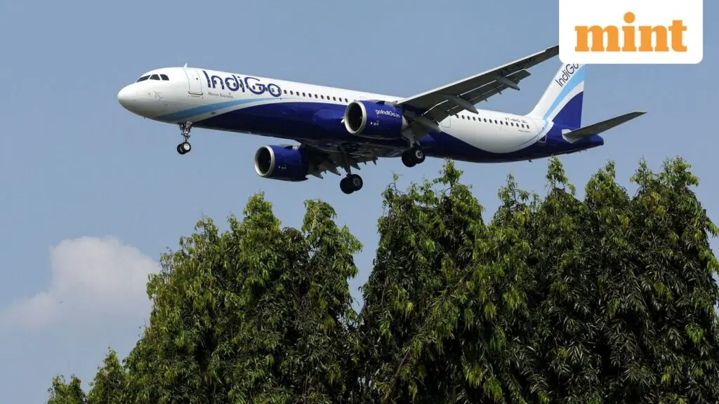 IndiGo market share hits record 67.4% as domestic air traffic falls