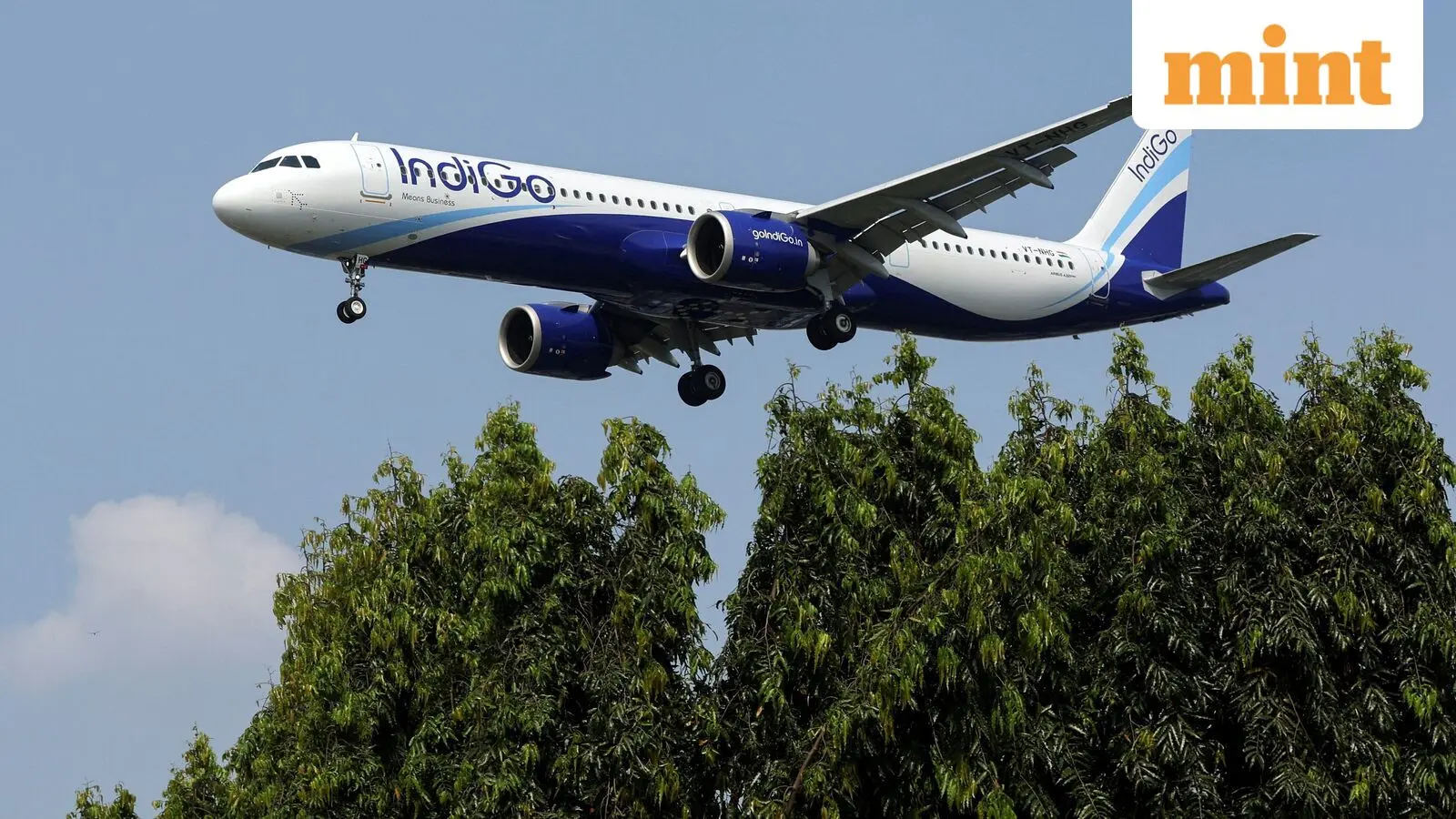IndiGo website faces second outage in a week, bookings hit