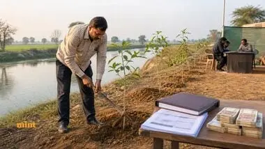 Tribunal asks Haryana taxpayer to plant 500 trees to contest Rs 11.22 crore addition