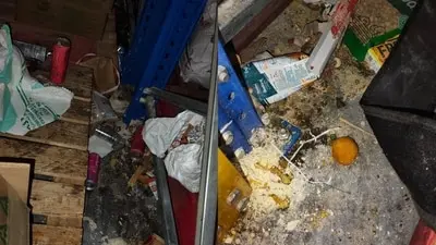 Karnataka seals Zepto warehouse in Bengaluru over hygiene violations