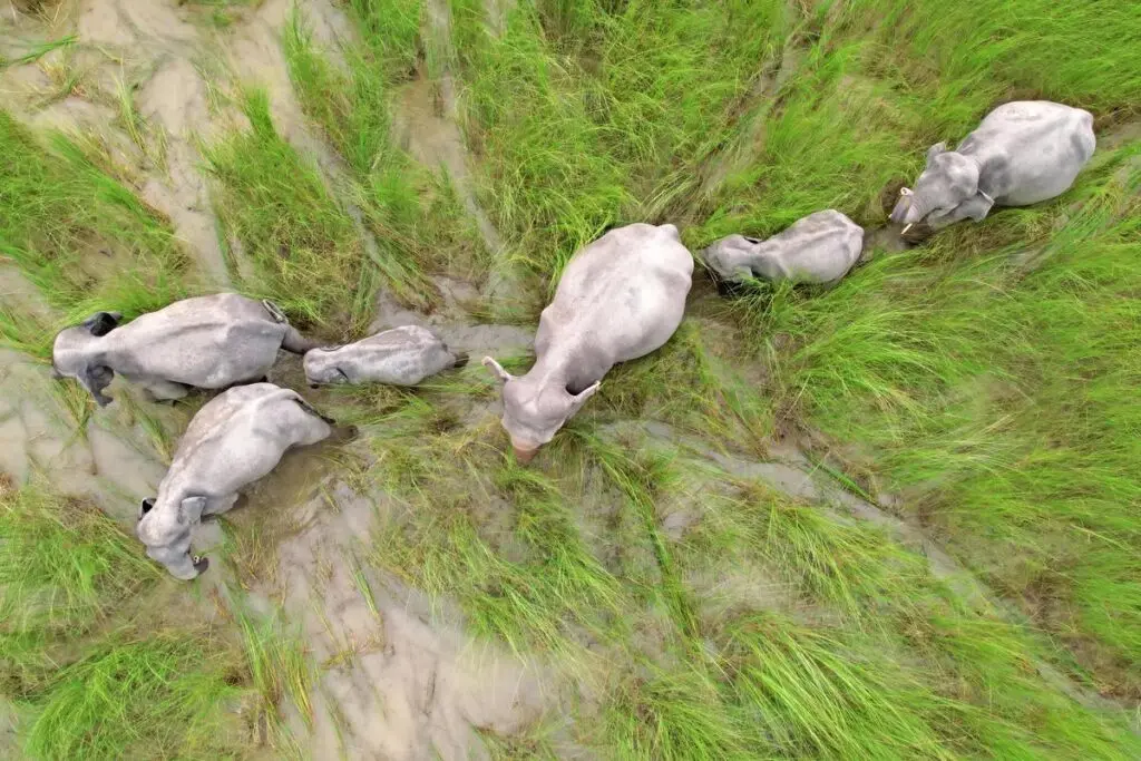 Shared Spaces documentary subverts human-nature divide, say filmmakers