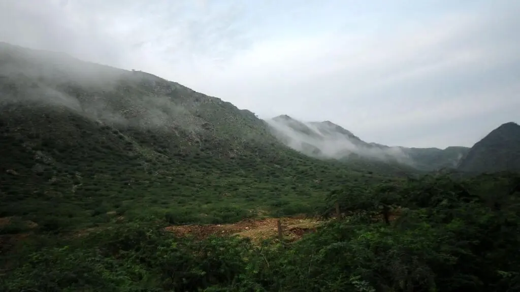 Aravalli panel failed on public consultation, environmentalists tell SC committee