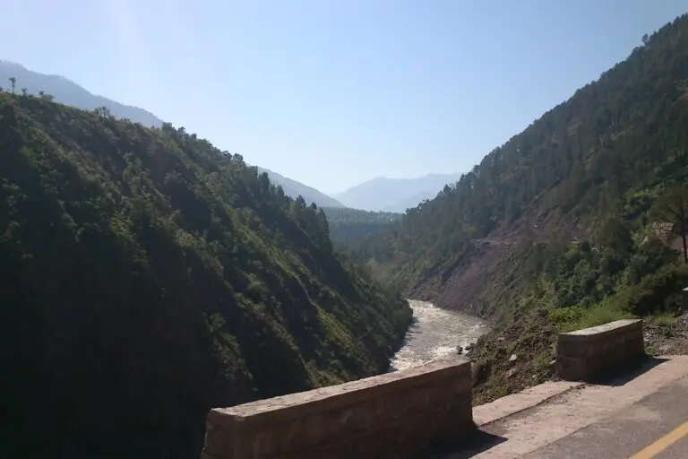 Himalayan pheasants face mounting human pressure