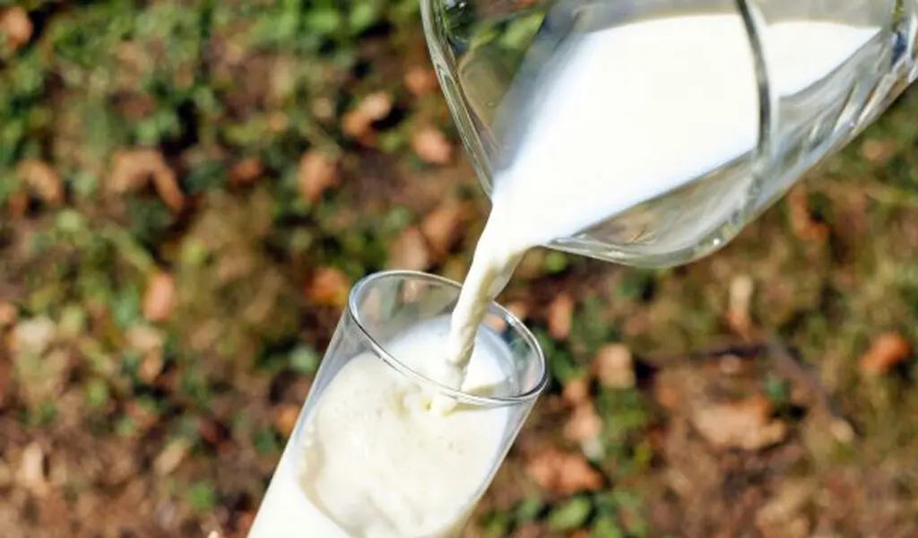 FDA seizes 4,710 litres of adulterated milk in Navi Mumbai raid