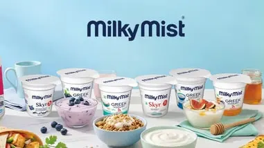 Milky Mist Dairy IPO allotment likely today; GMP at Rs 29