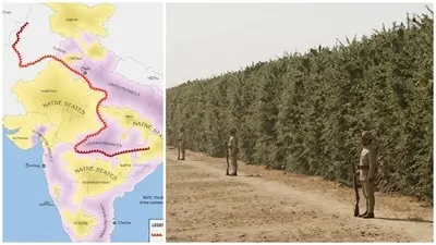 British Raj built 4,000-km thorn wall to tax salt