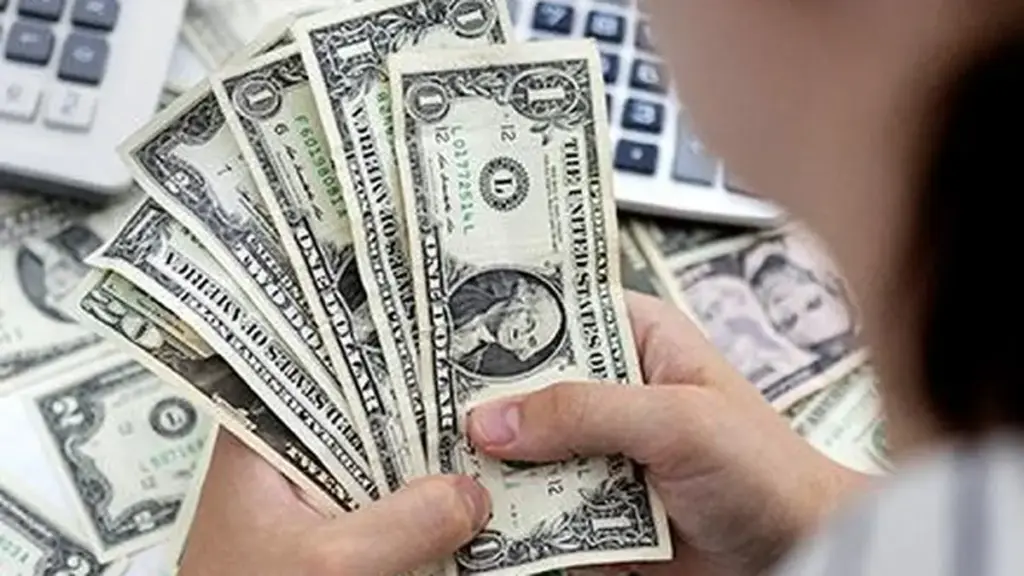 India's forex reserves hit record $729.33 billion on FCNR inflows