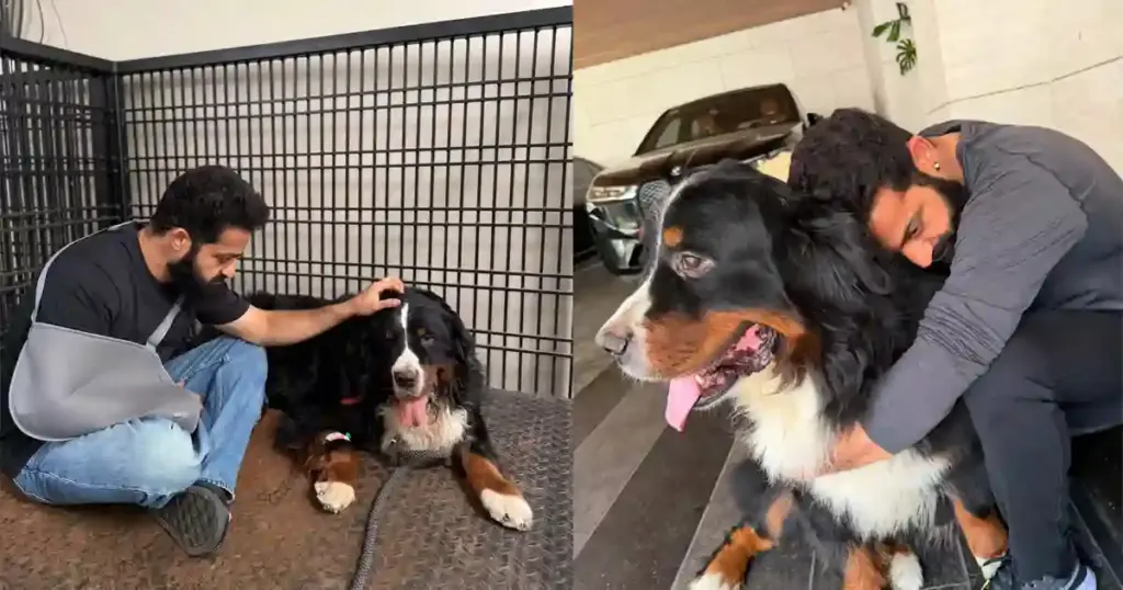 Jr NTR mourns pet dog Bagheera in emotional Instagram post