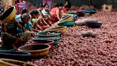 Kanda Express carrying 800 tonnes onions reaches Delhi at Rs 35/kg