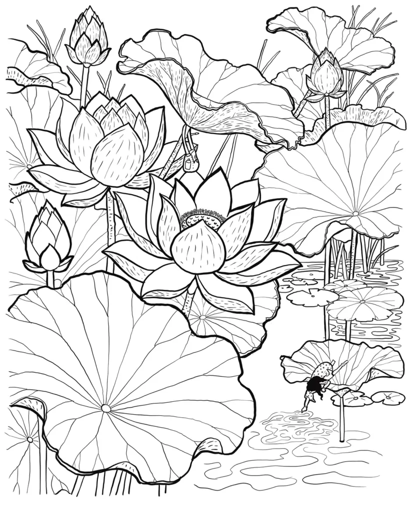 Slow travel in India: hidden lotus pond and craft villages