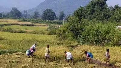 Odisha plans to scrap revenue clearance for urban land-use conversion